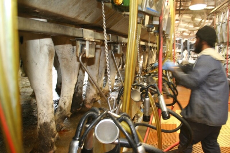 Milking_parlor
