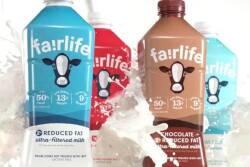 As one of the top dairy states in the nation, dairy is New York’s largest agricultural industry. 