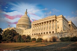 US Capitol - Lindsey Pound