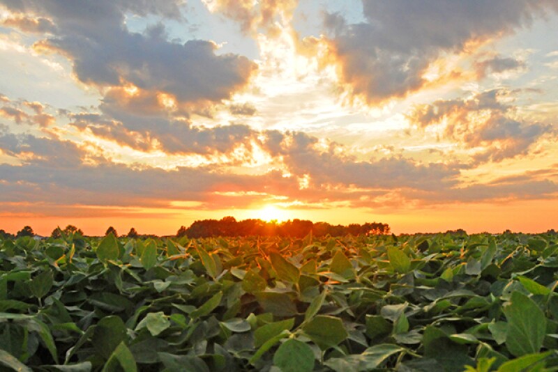 The Enviratron – along with researchers at Iowa State University -  are lifting the veil on factors that could impact the future of farming, testing various weather extremes and the impact on plants. 