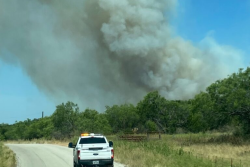 wildfire