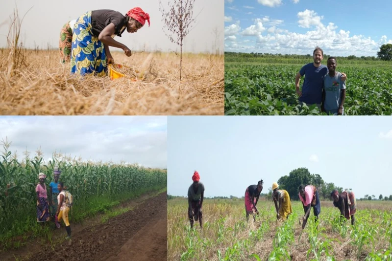 Inspired by Science and Motivated by Results, Regen Ag Delivers Sustainability Inspired by Science and Motivated by Results, Regen Ag Delivers Sustainability