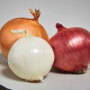 A2B09D25-595F-4C09-93F9E41B0EAA8C9C.jpg