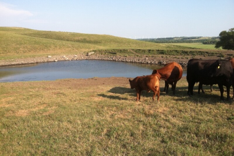 Performance issues can occur when ponds, tubs or other open containers are contaminated with manure, dissolved solids, nitrates, algae and sulfates.