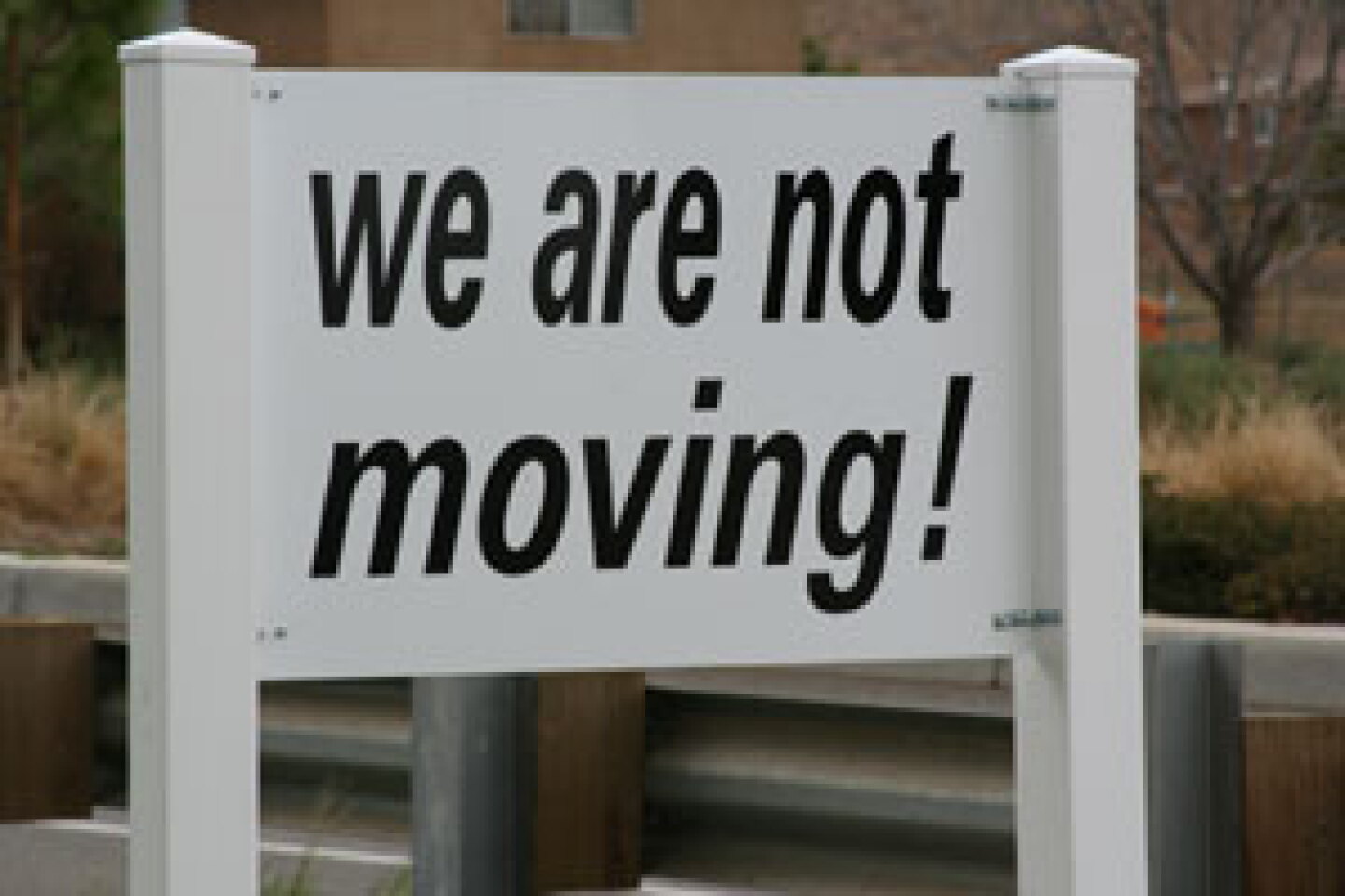 strom---moving-2.jpg