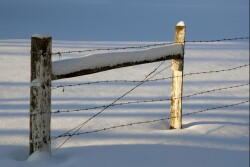 snow-1342457-1599x1070