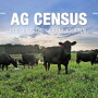 NASS reports 36% of U.S. farms have beef cows, with the average herd size 43.5 head. Smaller operations, however, are declining.
