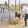 Idaho dairy farmer