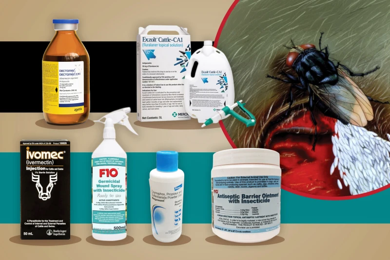 What Products are Available to Prevent and Treat New World Screwworm?