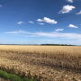Farmers in North Dakota are still trying to harvest last year’s corn crop while running out of time to plant this year.
