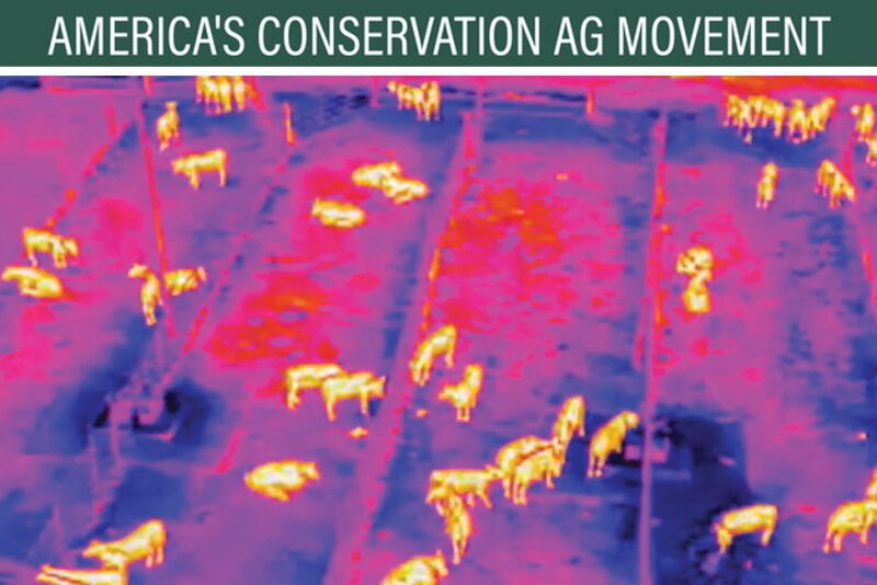 Drones with thermal imaging cameras have been buzzing over a research feedlot near Amarillo, as researchers develop test methods to identify feverish animals before they show symptoms of illness. 