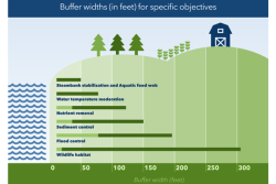 Buffer-Widths.png