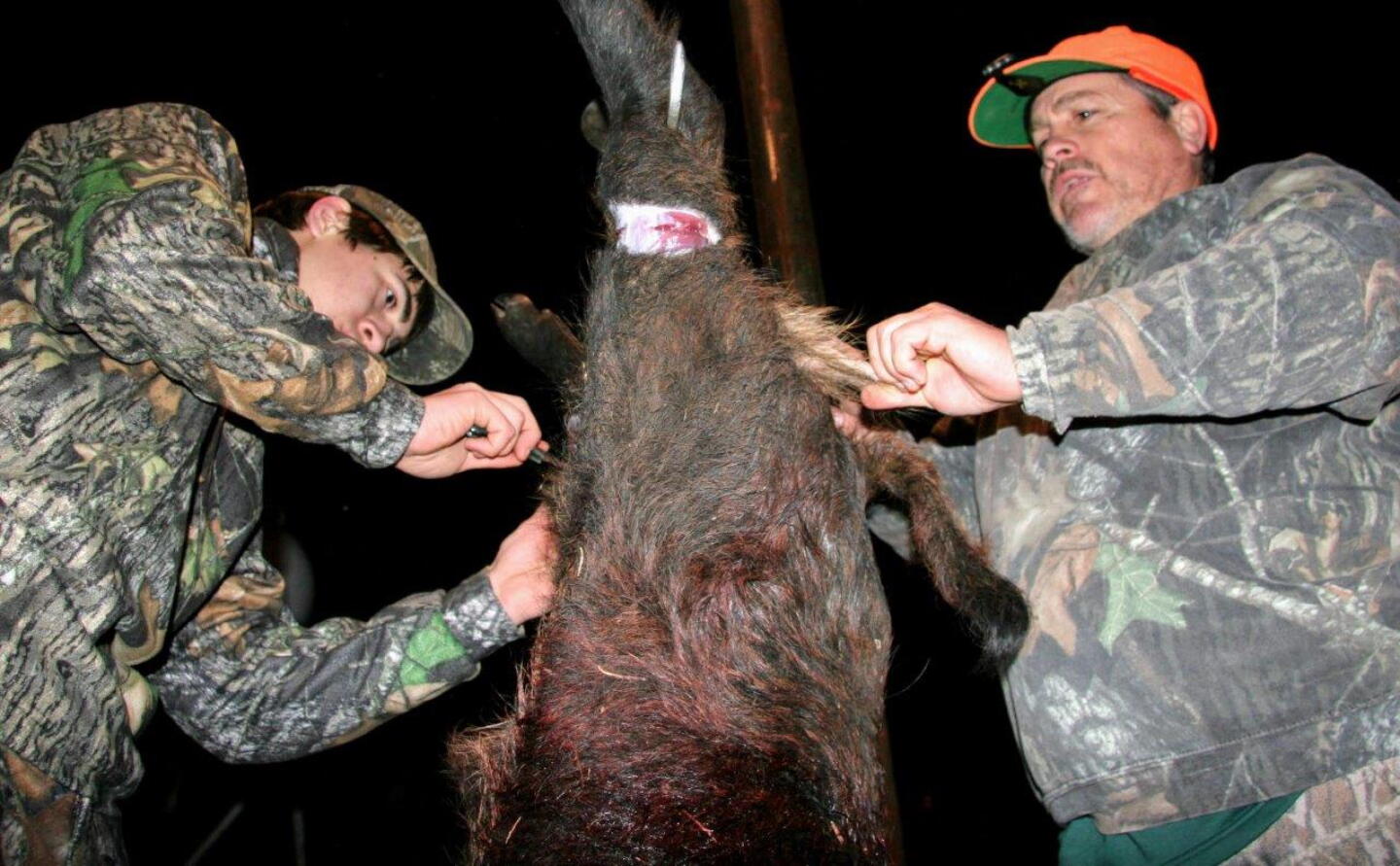 WILD%20PIG%20DIET%205.JPG