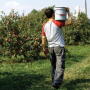 migrant worker jan11