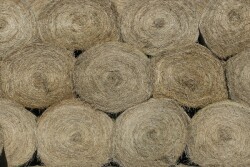 hay