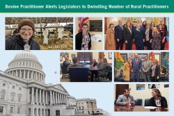 Jody Kull discusses vet shortage with legislators
