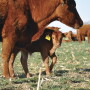 What impact will coronavirus have?
