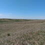 Drought pasture