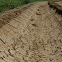 USDA Meteorologist Brad Rippey says the 27-week streak in drought conditions means the all-time record of 42 weeks during 2012/2013 still stands. However, the drought picture isn’t pretty in the West, with another streak still on the record books.