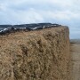 Ensure you have enough old-crop silage on-farm.