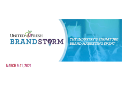 Brandstorm