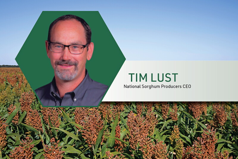 TIm Lust National Sorghum Producers