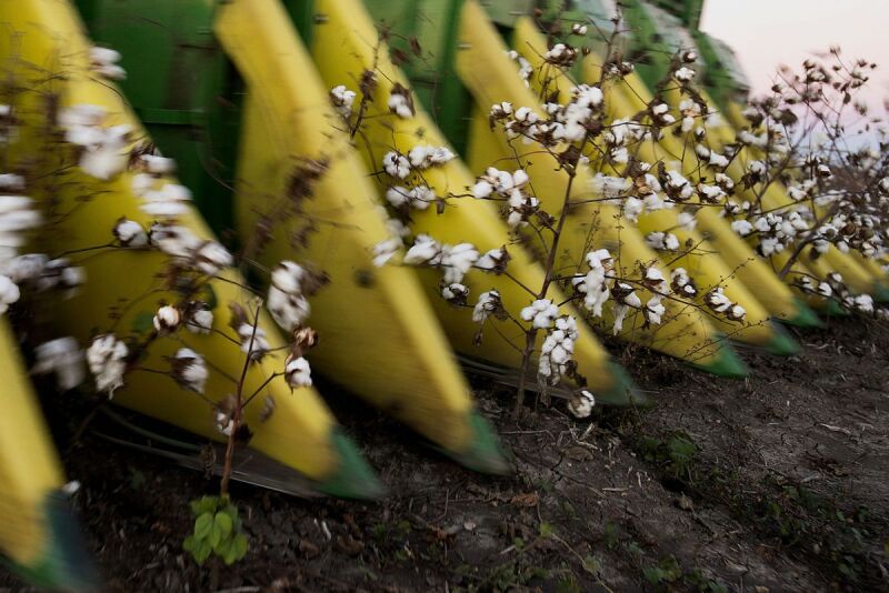 ICE cotton futures edged lower in choppy trading on Monday, pressured by a firmer dollar, while expectations for a reduction to forecasts for planted acreage in a federal report due later this week put a floor under prices.