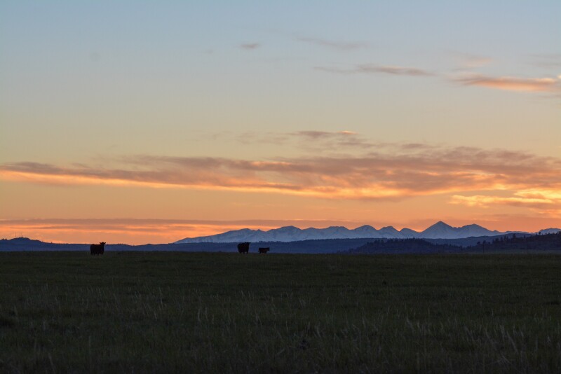 Montana ranch