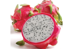 dragon fruit