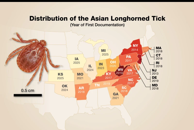 The Asian Longhorn Tick Moves West to Kansas