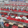 Workers sort cuts of fresh pork in a processing plant of pork producer WH Group in Zhengzhou, Henan province China, November 24, 2017. Picture taken through glass. REUTERS/Dominique Patton/File Photo 