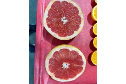 south africa grapefruit