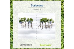 In high-nematode-stress trials, biotrinsic Z15 increased corn yields by 2.8 bu/acre and soybean yields by more than 1.0 bu/acre.