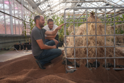 Scientists Examine Roots