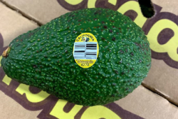 2F05C570-6390-4B3B-932D7EEB5E195D85.png