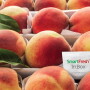 SF Agrofresh