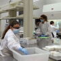 Staff at the Texas A&M Veterinary Medical Diagnostic Laboratory assemble sampling kits for physicians' use.
