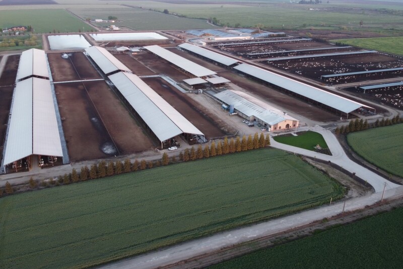 California dairy