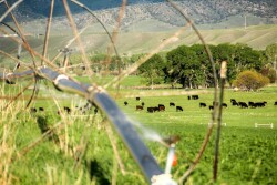 JA Land & Cattle, WY