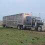 All agriculture haulers could be exempted from using electronic logging devices (ELD) if the latest version of the Agricultural Business Electronic Logging Device Exemption Act of 2018 advances through Congress.