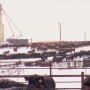 Feedlot Snow Winter