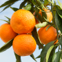 8B89948F-B8D9-4561-8082FB350B0A3112.png