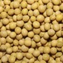 Soybeans