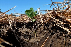 To combat volatile weather, mitigate rising input costs and meet agronomic goals, producers are making choices geared toward soil health.