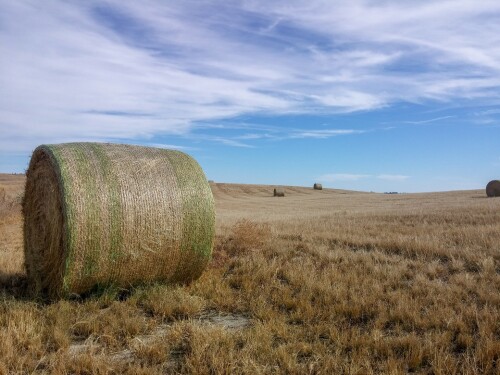 Hay Bale