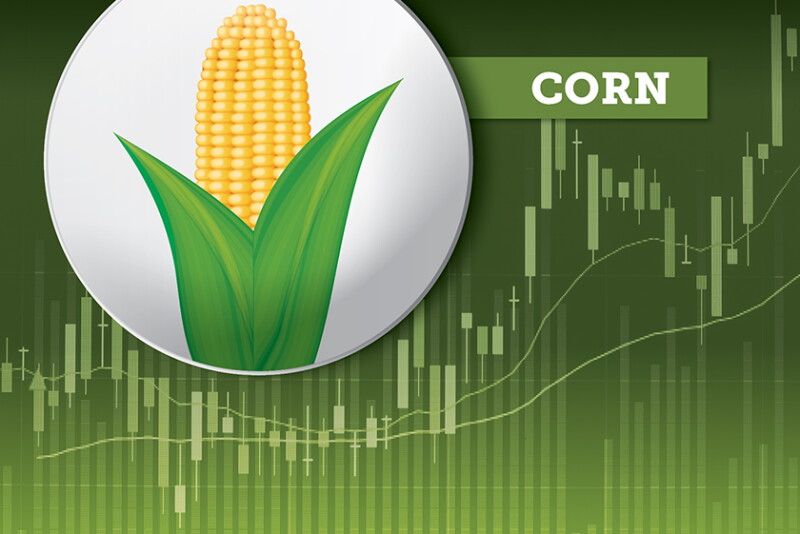 2022 Markets Corn