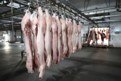 FILE PHOTO: Employees work at a pig slaughtering and pork processing plant in Huaian, Jiangsu province, China April 9, 2020. China Daily via REUTERS/File Photo