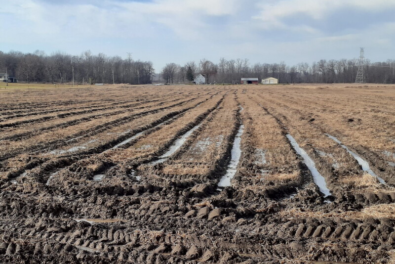 Deep ruts will take years to fix, but you can get started on the right foot this year.