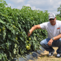 Wendell Moffatt, partner and tomato grower, Triple M Farms