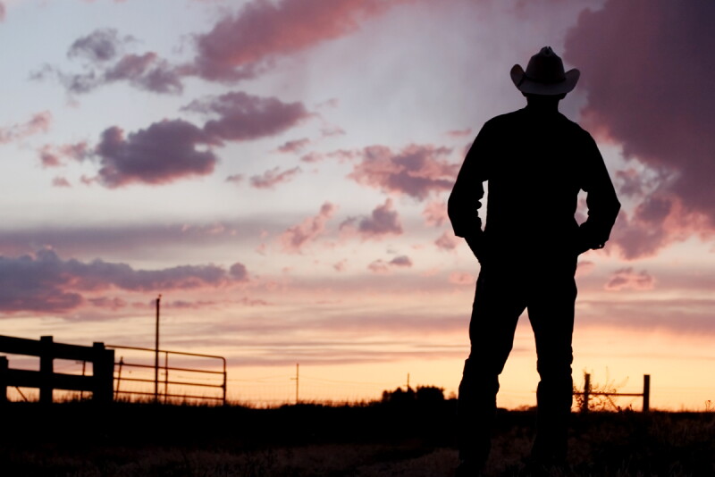 Cowboy - Istock.jpg